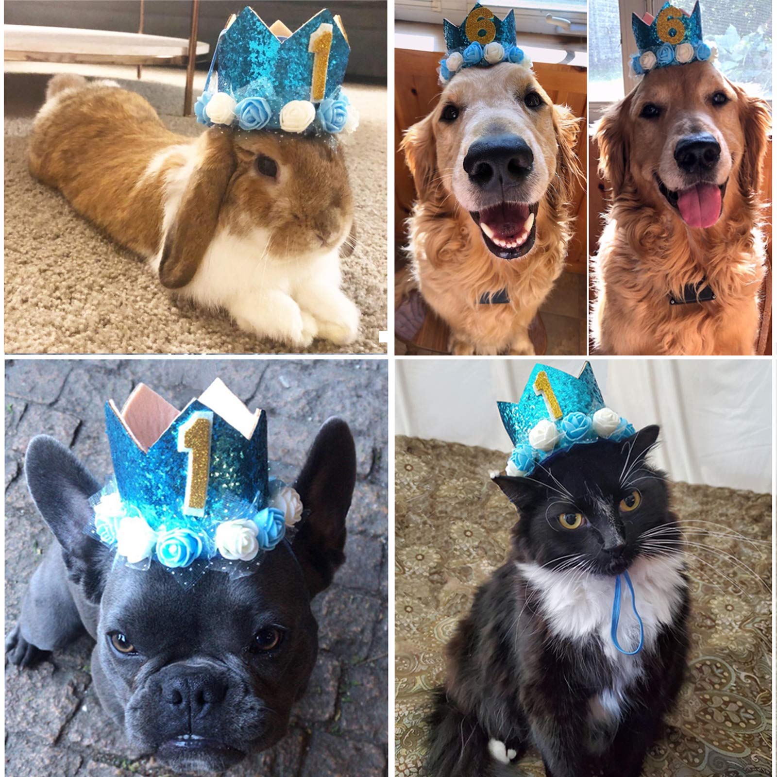 Adjustable Dog Birthday Hat - Reusable Pet Crown for Dogs, Cats, Puppies & Kittens - Birthday Party Headband with Numbers (Blue) - Perfect for Pet Birthday Celebrations & Photo Shoots