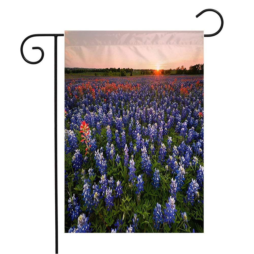 Wildflower Welcome Garden Flag - Bluebonnet Ennis Southwest Sunset Design - 12x18 Inch Seasonal Outdoor Decor for Patio, Lawn & Home - Perfect Gift for Nature Lovers & Country Style Enthusiasts