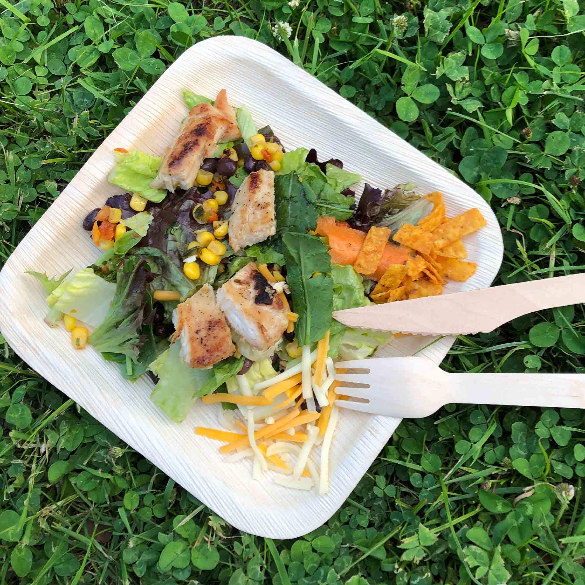 Eco-Friendly Palm Leaf Compostable Plates - 50 Pack Square Disposable Dinnerware Set with Cutlery - 8 Inch Biodegradable Plates for Parties, Picnics & Sustainable Events