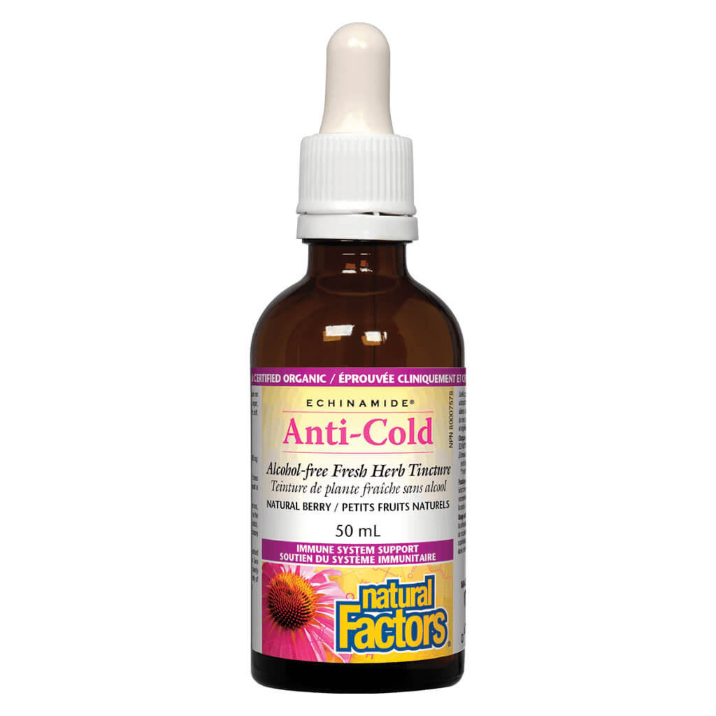 Echinamide Anti Cold Alcohol-Free Herbal Tincture - Natural Berry Flavor for Immune Support & Wellness - Perfect for Cold Season, Travel & Daily Immune Boost