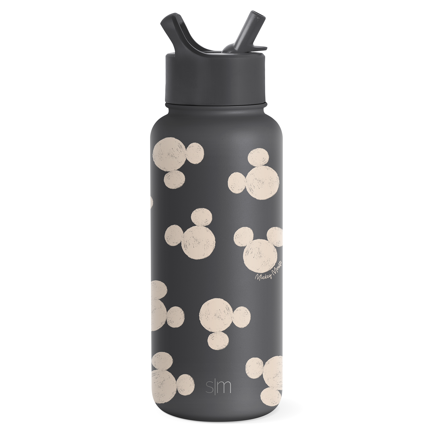 Disney Summit Insulated Water Bottle with Straw Lid - Leakproof Stainless Steel Thermos for Kids & Adults - Perfect for School, Gym, Hiking & Outdoor Activities