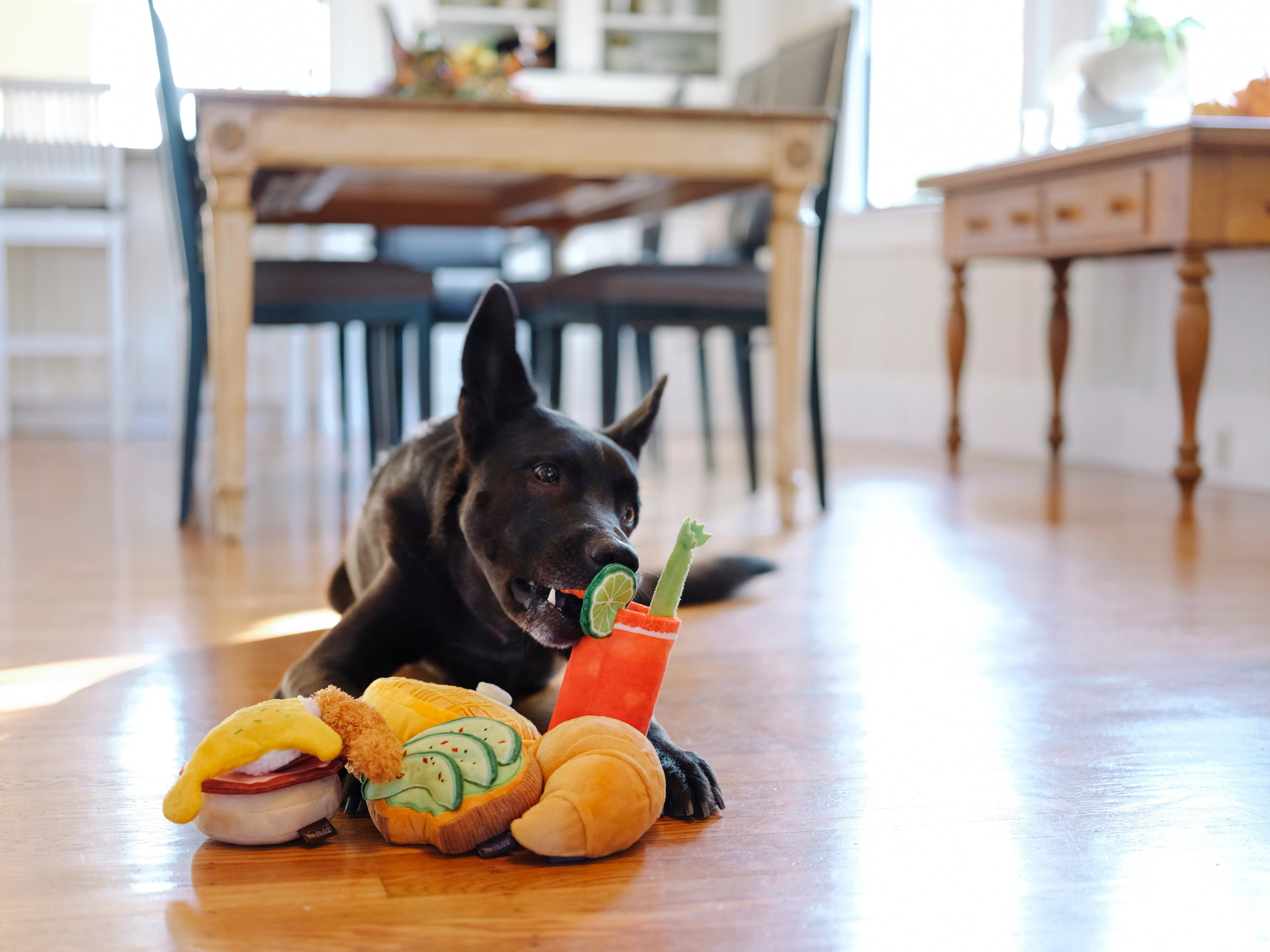 El Egg Benedict Plush Dog Toy - Barking Brunch™ Collection by Pet P.L.A.Y. | Soft & Durable Chew Toy for Small & Medium Dogs | Perfect for Playtime, Training & Cuddling