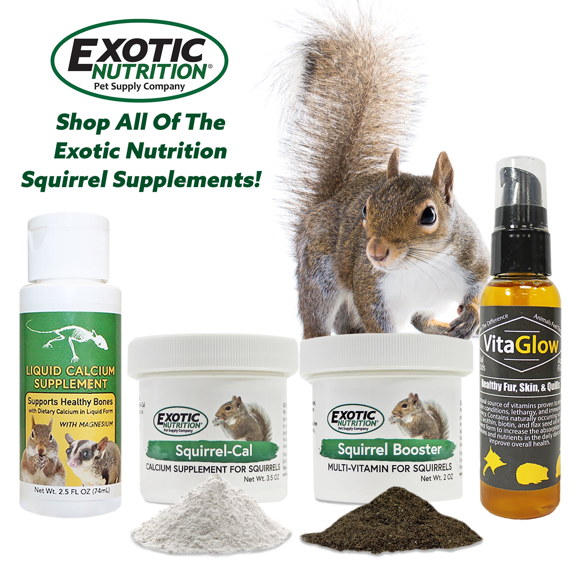 Squirrel Booster Multivitamin for Adults - Immune Support & Energy Boost - Essential Vitamins & Minerals - Perfect for Daily Wellness & Active Lifestyle
