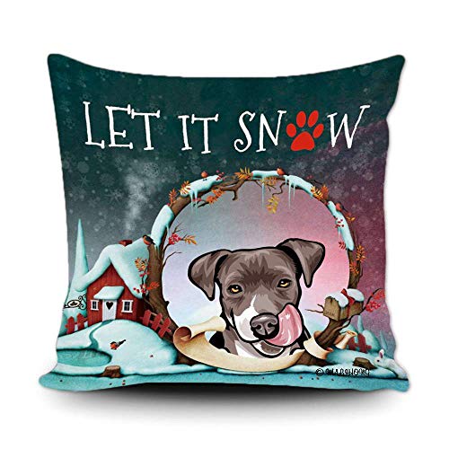 Pit Bull-4