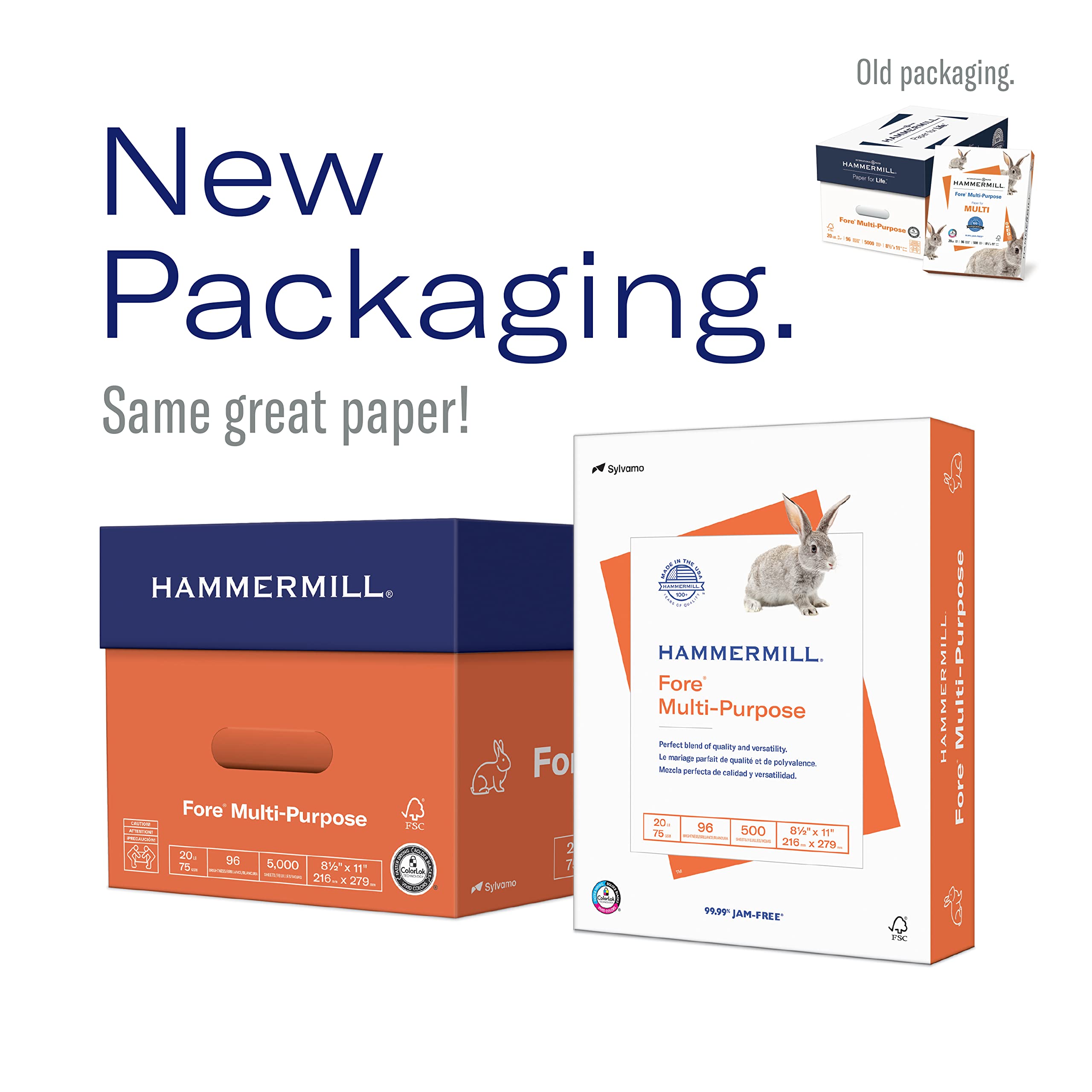 Hammermill Printer Paper, 20 lb Multipurpose Copy Paper, 3-Hole Punched, 1 Ream (500 Sheets), 96 Bright, Made in USA – Ideal for Home, Office, and School Printing Needs