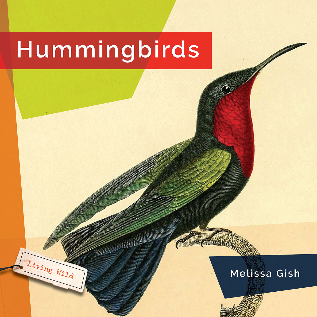Hummingbirds Book 9781640266001 - Discover the Fascinating World of Hummingbirds | Perfect for Bird Lovers & Nature Enthusiasts