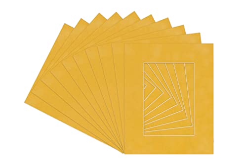 Sunrise Yellow Suede