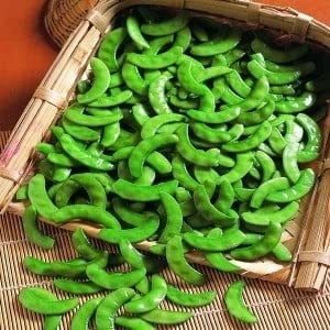 15 Surti Papdi Bean Seeds - Grow Fresh Beans at Home