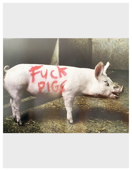 Banksy 'Fuck Pigs' High Society Print by Lazarides - Street Art Wall Decor for Urban Home & Office