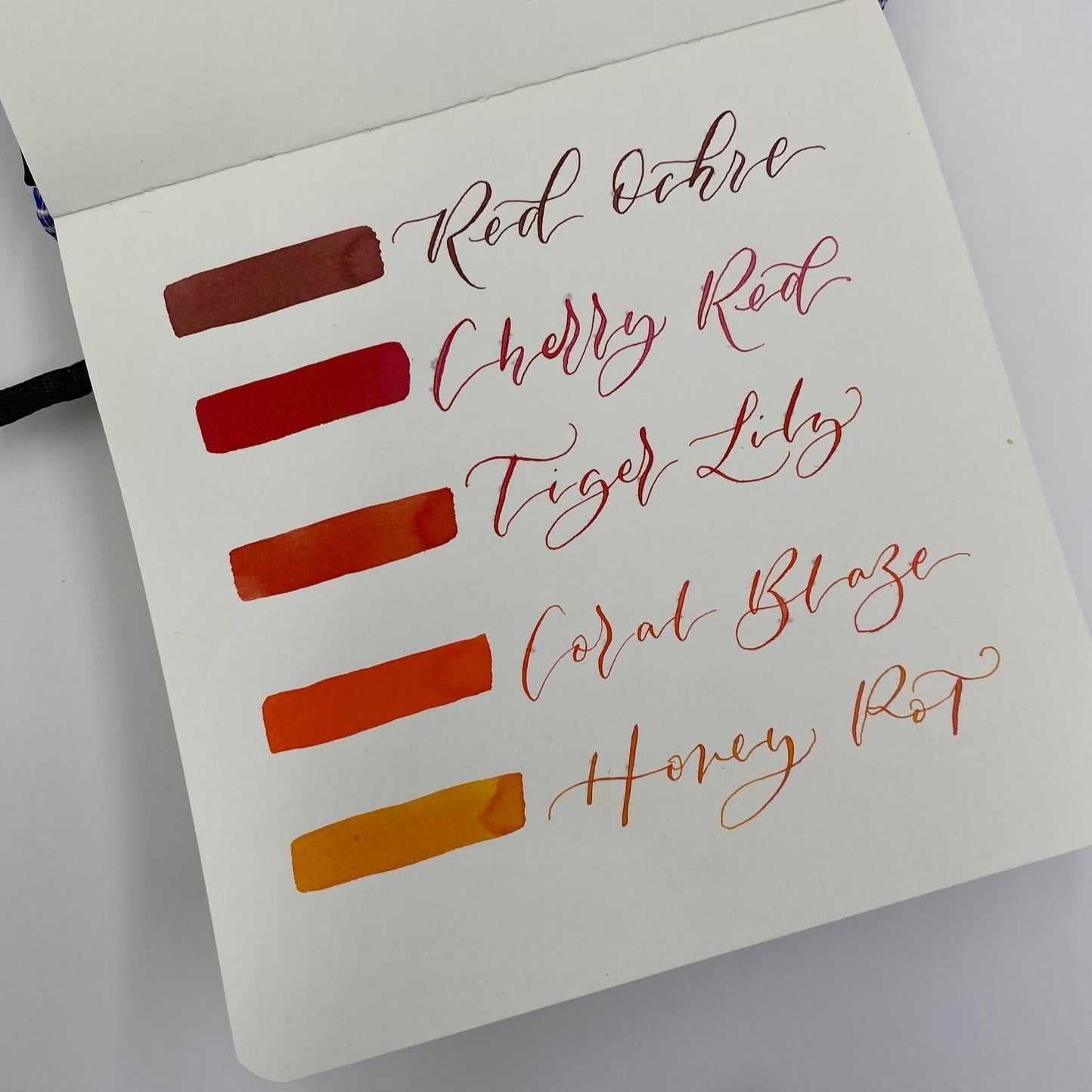 Diamine Forever Ink - Permanent Pigment Fountain Pen Ink, 50ml Bottle - Ideal for Calligraphy, Journaling & Professional Writing