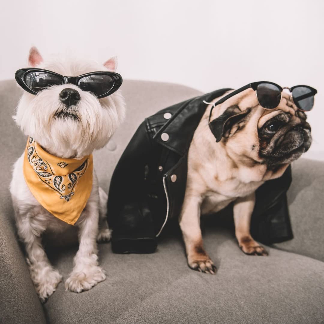 3 Pack Solid Cotton Dog Bandanas - Adjustable Triangle Bibs for Small & Medium Pets (Black) | Perfect for Grooming, Pet Photos & Everyday Wear