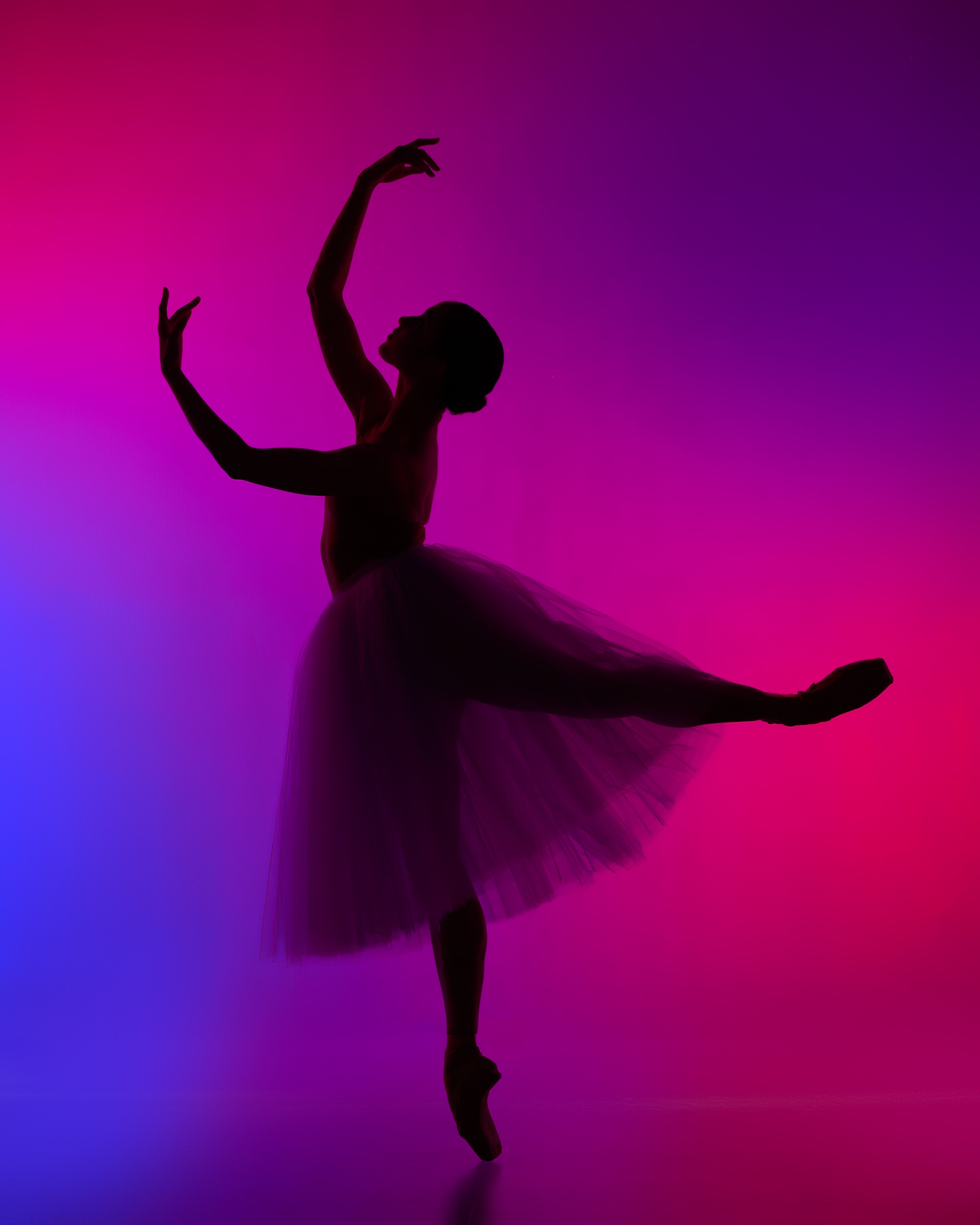 Professional Tutu & Costume Design Consulting Services | Zoom Group Meetings for Custom Costume Design | Perfect for Ballet, Dance Performances & Theatrical Productions