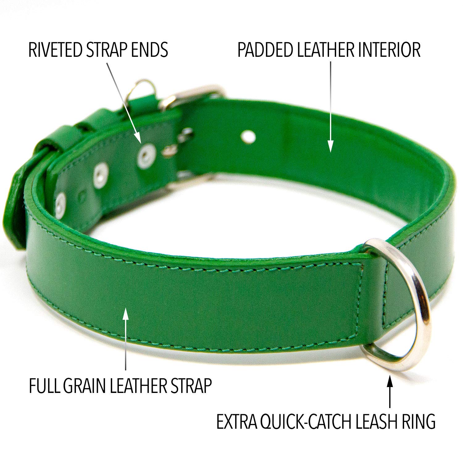 Premium Full Grain Leather Dog Collar for Large Dogs - Padded Comfort, Durable & Adjustable (Green, Large) | Perfect for Daily Walks, Training & Outdoor Adventures