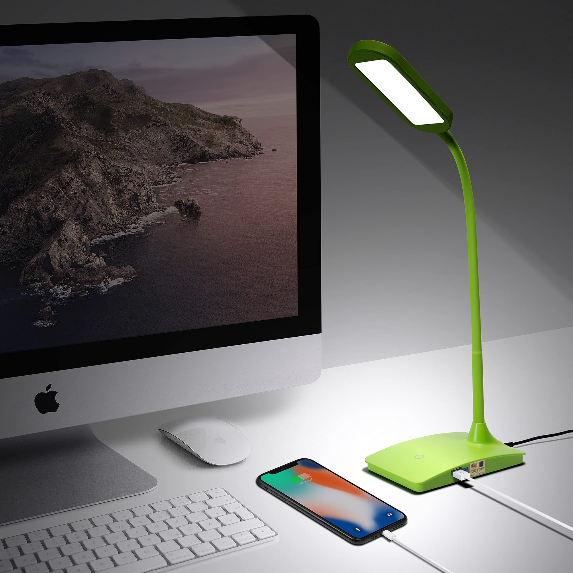 Energy-Efficient Green LED Desk Lamp with USB Charging Port - Adjustable Brightness Study Light for Home Office, Bedside Reading & Workspace Lighting | Perfect for Students, Remote Workers & Nighttime Readers