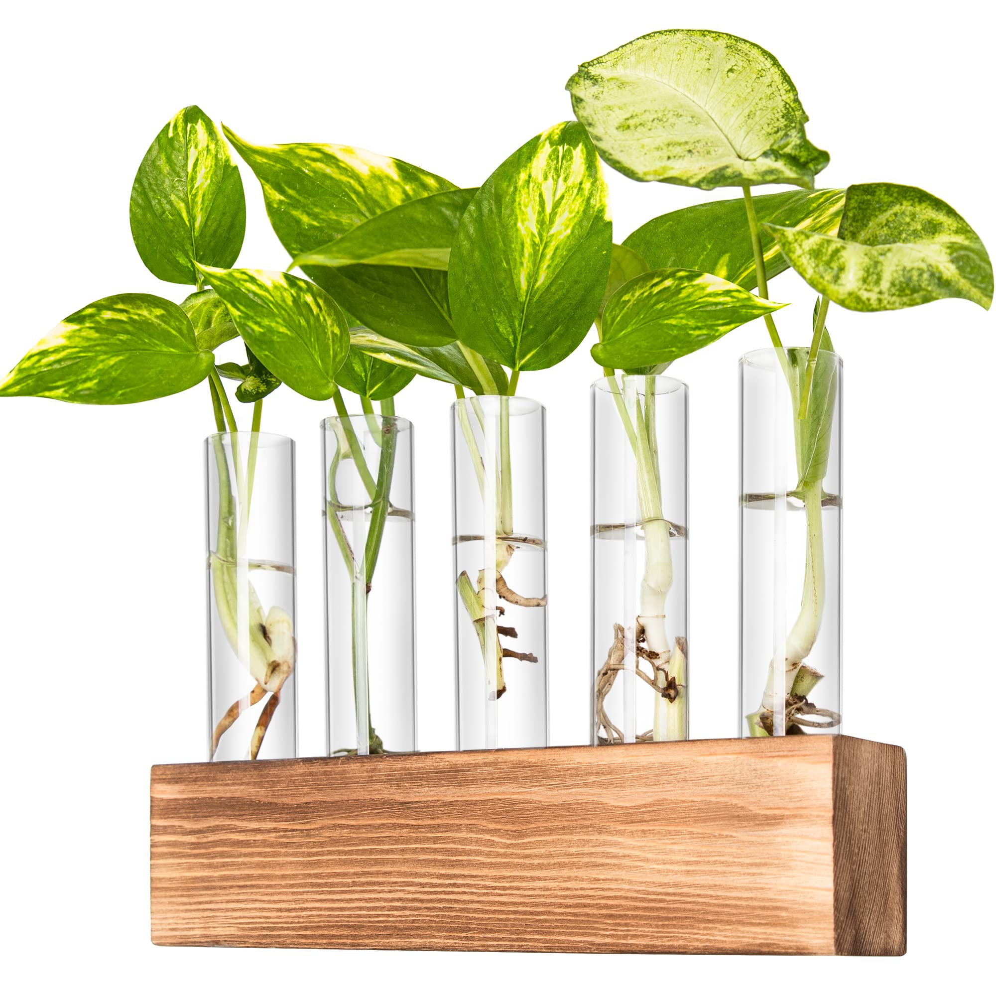 KAXYEW Wall Hanging Plant Propagation Station - 5 Test Tube Hydroponic Terrarium with Wooden Stand for Plant Cuttings | Perfect for Home, Office & Indoor Garden Decor