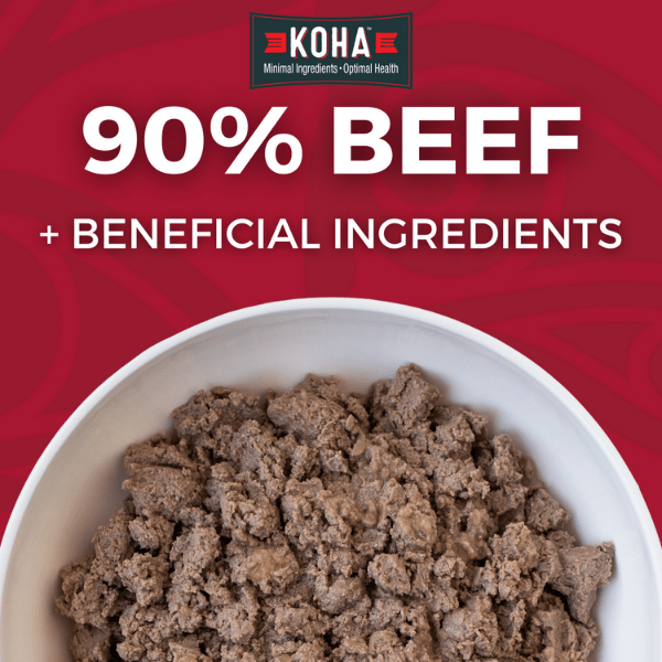 KOHA LID Beef Entrée Canned Dog Food - Grain-Free, High-Protein Wet Food for Dogs - Perfect for Picky Eaters & Sensitive Stomachs - Great for Mealtime, Training Treats & Travel Feeding