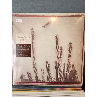 The Melody of Memories: A Tale for Music Lovers