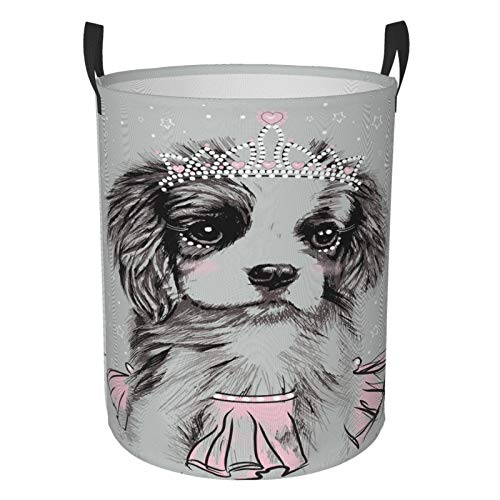 Princess Dog