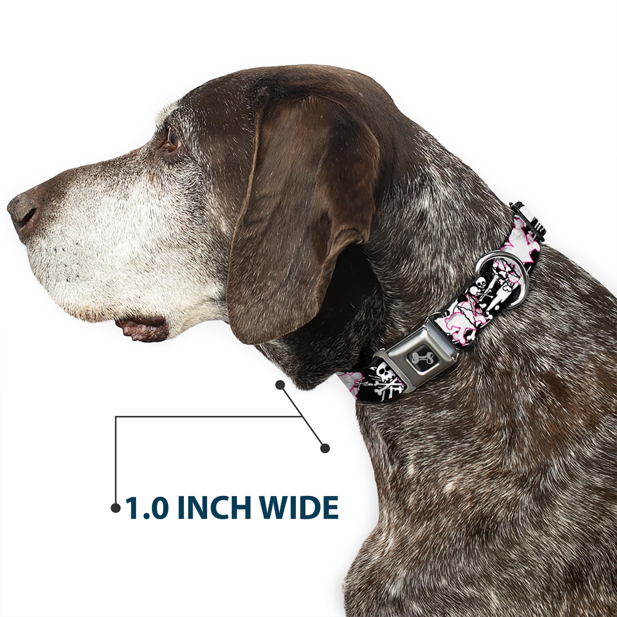 Buckle-Down Seatbelt Buckle Dog Collar - Skull & Crossbones Design with Black/White Splatter - 1.5
