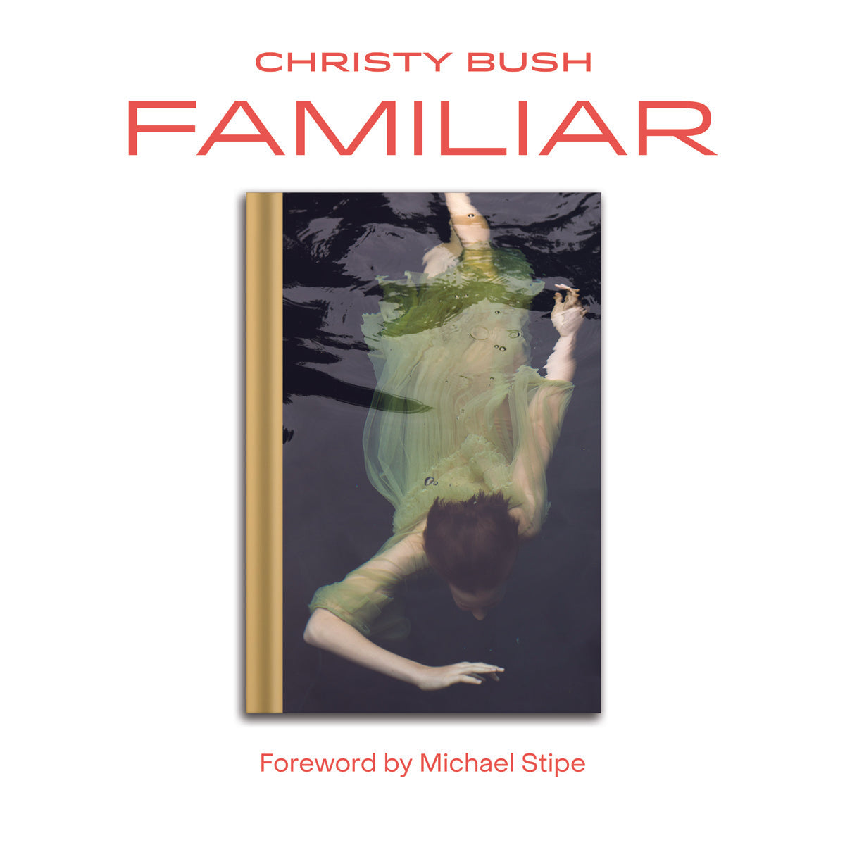 Familiar by Christy Bush with Foreword by Michael Stipe - Inspirational Book for Music Lovers & Art Enthusiasts - Perfect Gift for Fans & Collectors
