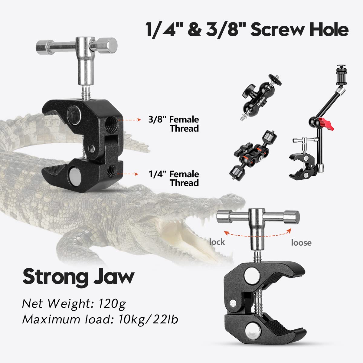 Double Ballhead Camera Clamp Mount for DSLR, Monitors & Lights - Studio & Vlogging Use
