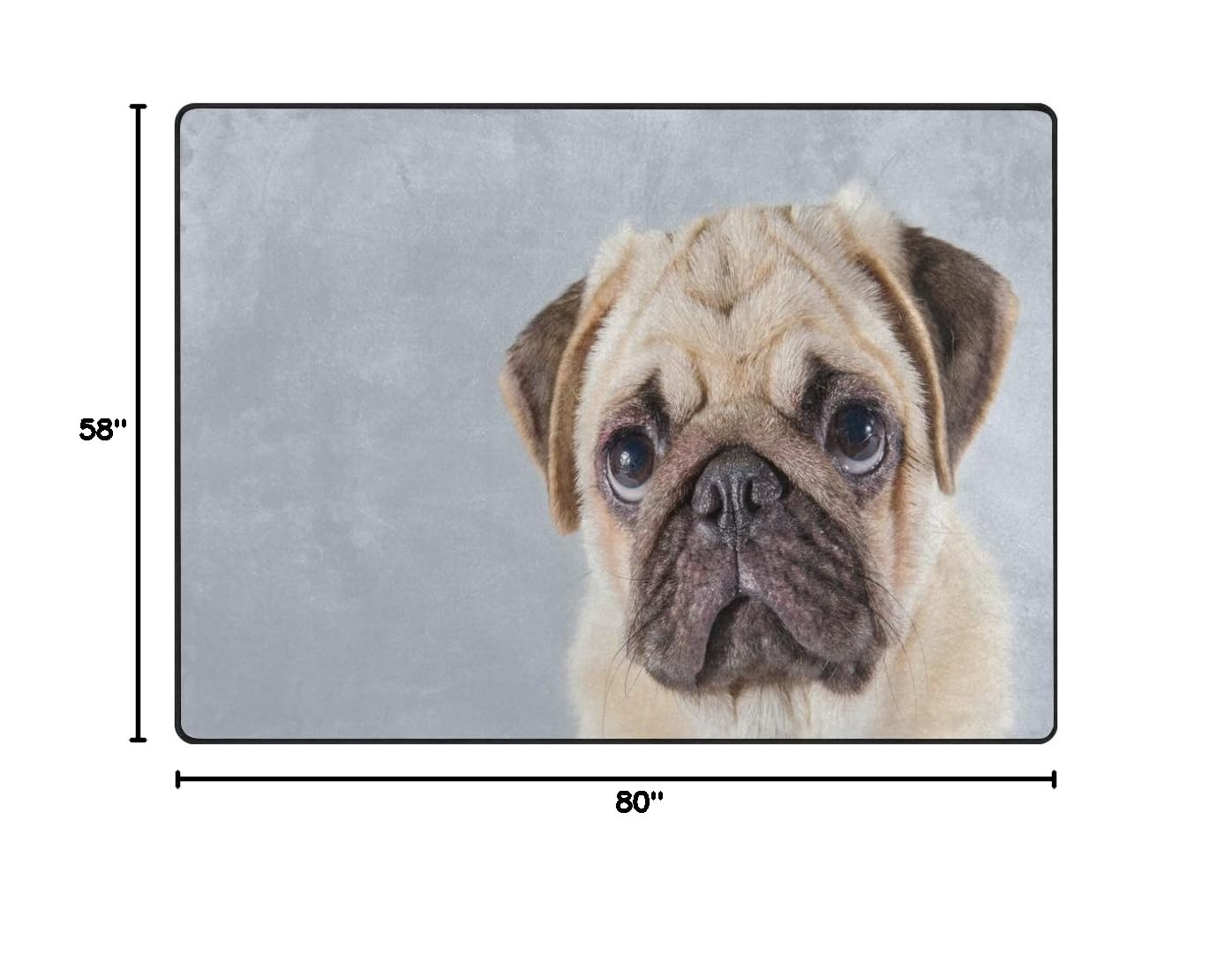 ALAZA Cute Pug Puppy Dog Non-Slip Area Rug 7'x5' - Soft Living Room & Bedroom Carpet for Home Decor, Pet Lover Gift