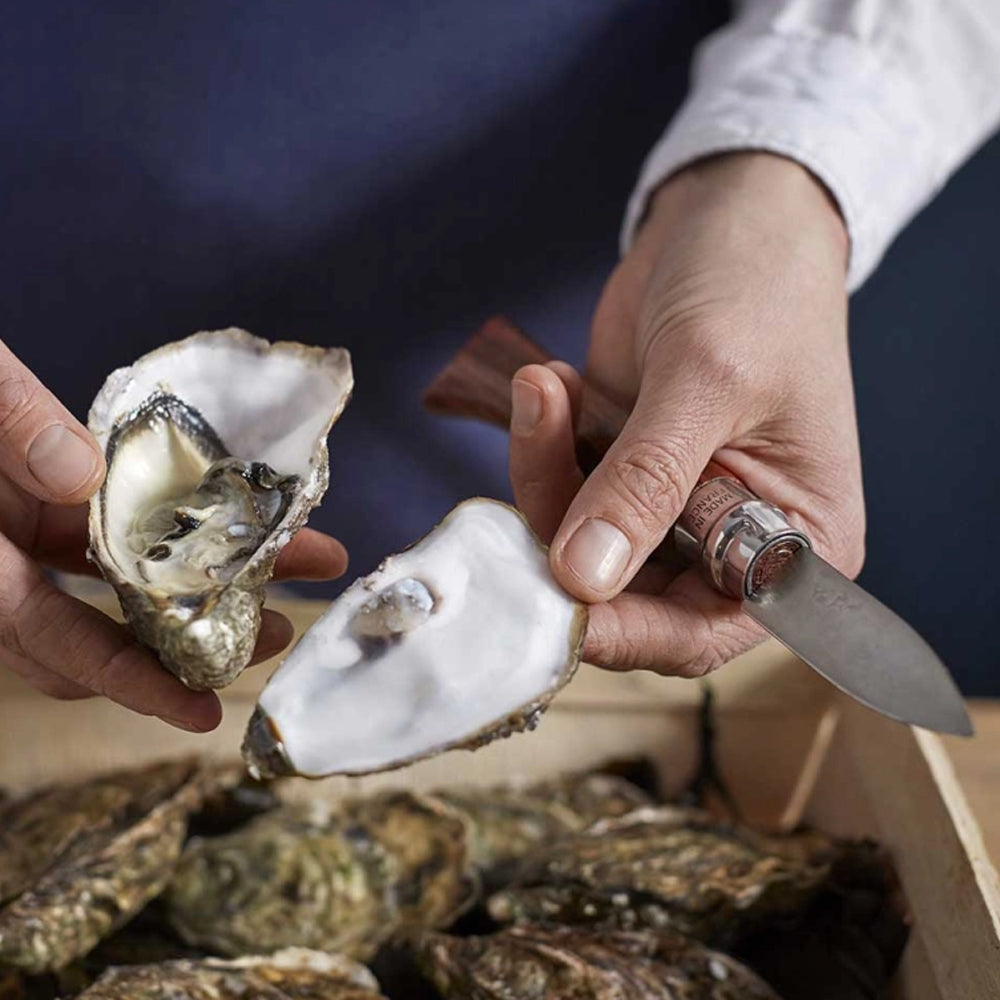 Opinel No.09 Stainless Steel Oysters and Shellfish Knife - Premium French Kitchen Tool for Shucking Oysters, Clams & Seafood - Perfect for Home Chefs, Restaurants & Outdoor Picnics