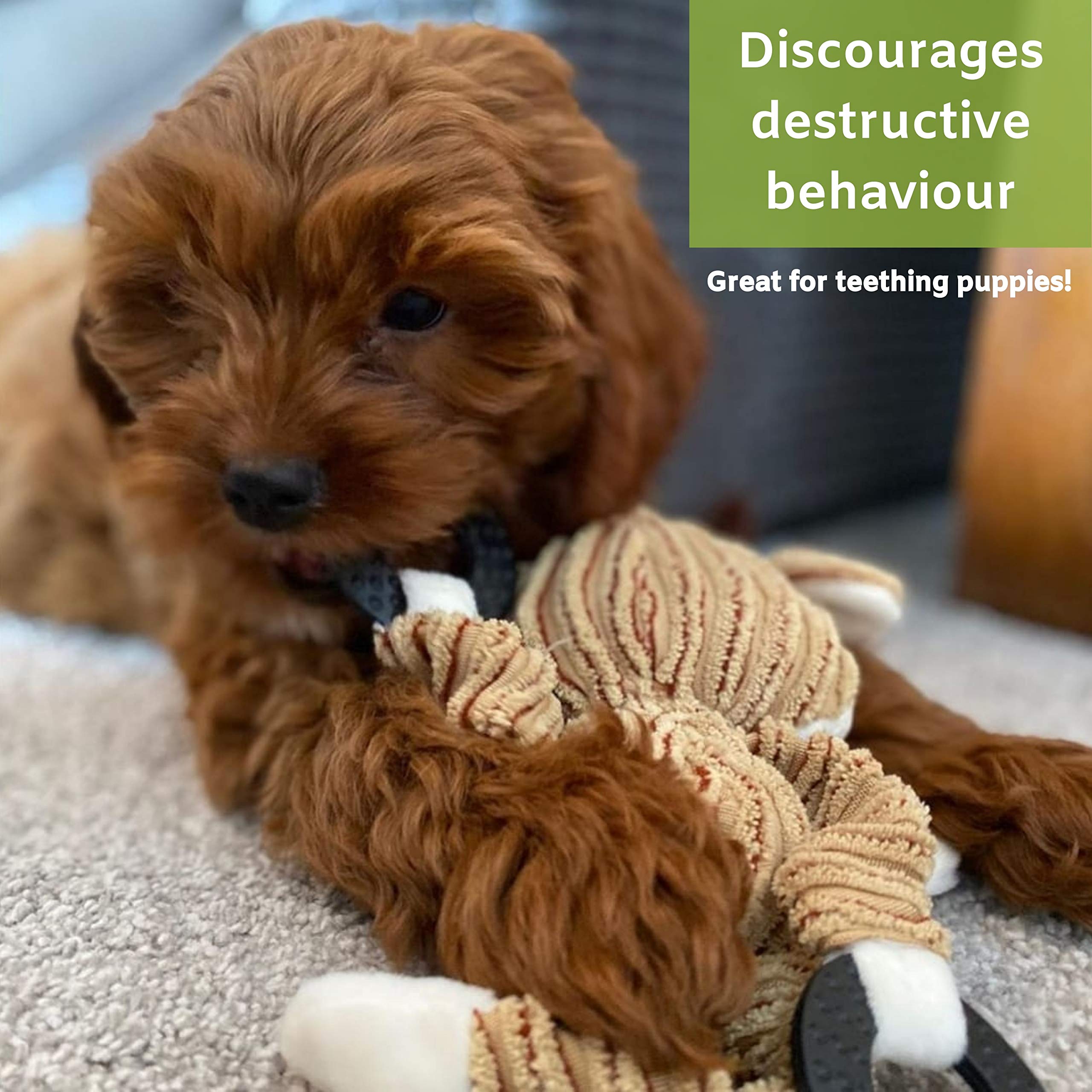 Nature’s Buddy Plush Dog Toys - 5 Pack Squeaky Chew Toys for Puppies & Small Dogs - Durable, Soft & Interactive No-Stuffing Bundle (3 Varieties) - Perfect for Playtime, Training & Cuddling