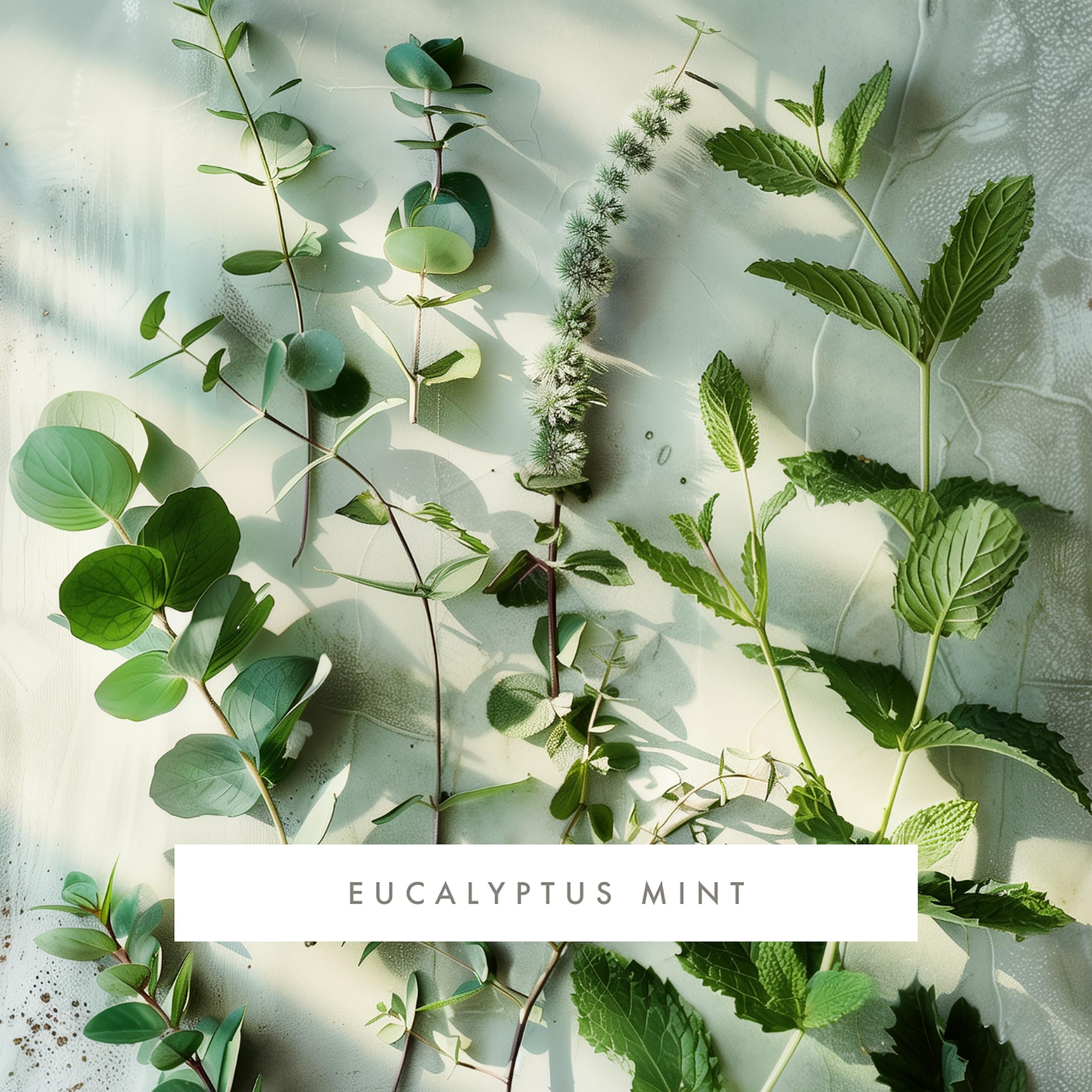 Whisper Home Monthly Fragrance Cartridge - Refillable Eucalyptus Mint Scent for Aromatherapy & Relaxation - Perfect for Bedroom, Bathroom & Office Spaces
