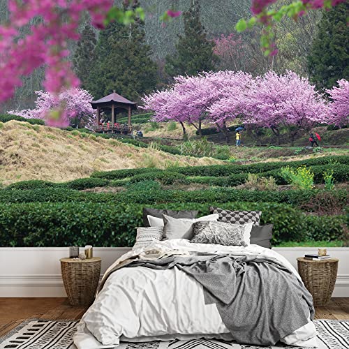 Serene Japanese Garden-2