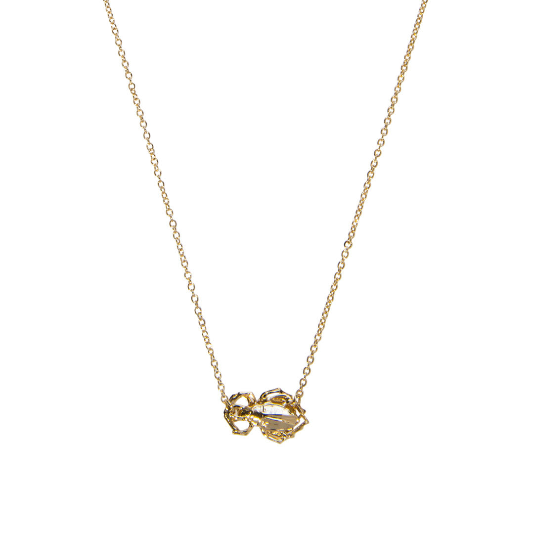 Goldbug Collection Single Bug Necklace - Elegant Gold-Plated Insect Pendant for Women | Perfect for Everyday Wear, Parties & Gifts