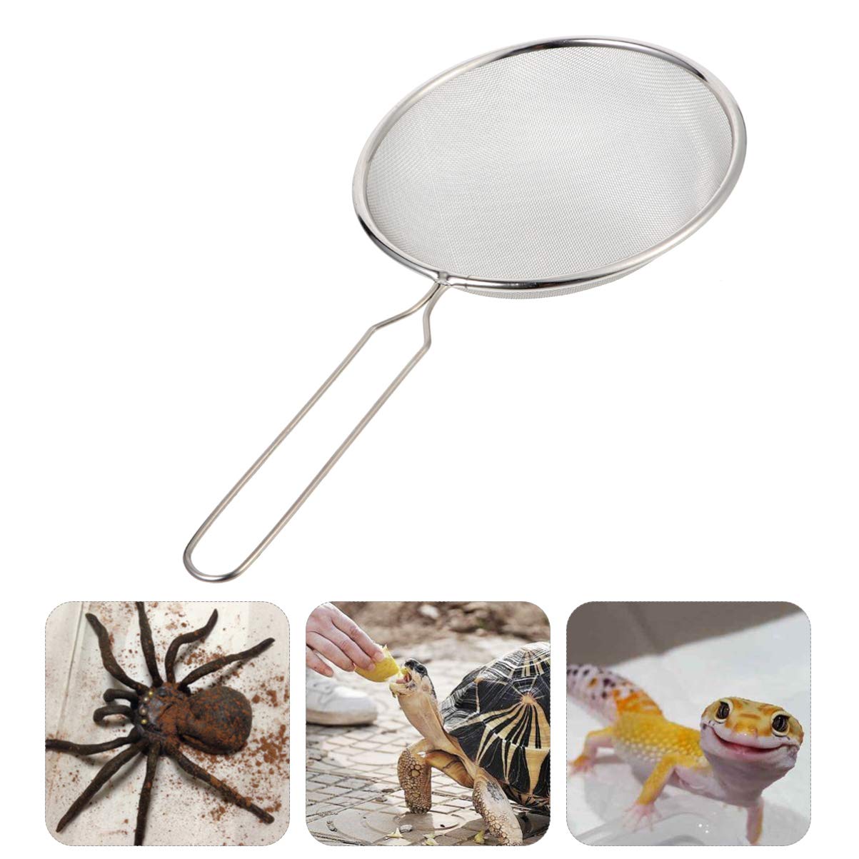 Balacoo Stainless Steel Pet Sand Shovel & Mesh Filter - Reptile Cleaning Tool with Sieve for Terrarium, Litter Box & Habitat Maintenance | Durable Reptile Supplies for Easy Sand Sifting & Waste Removal