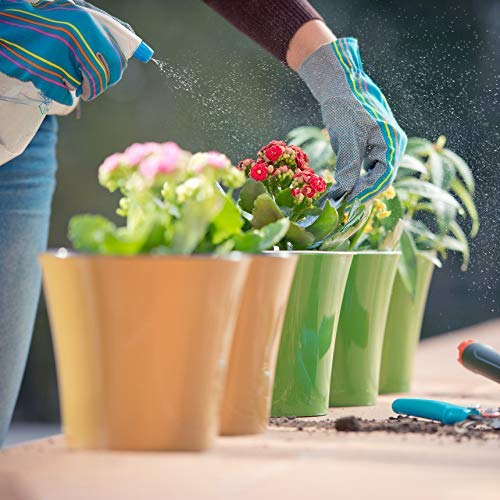 DECOPOTS 5.3 Inch Self-Watering Plant Pot - Red Plastic Flower Planter with Drainage Holes for Indoor Plants, Succulents, Herbs - Perfect for Home, Office, Balcony Decor (Transparent, 5.3