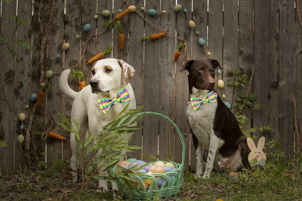 Elegant Small Dog Collar with Bow Tie - Cute Easter Pet Accessory for X-Small Puppies | Perfect for Holidays, Parties & Photo Shoots