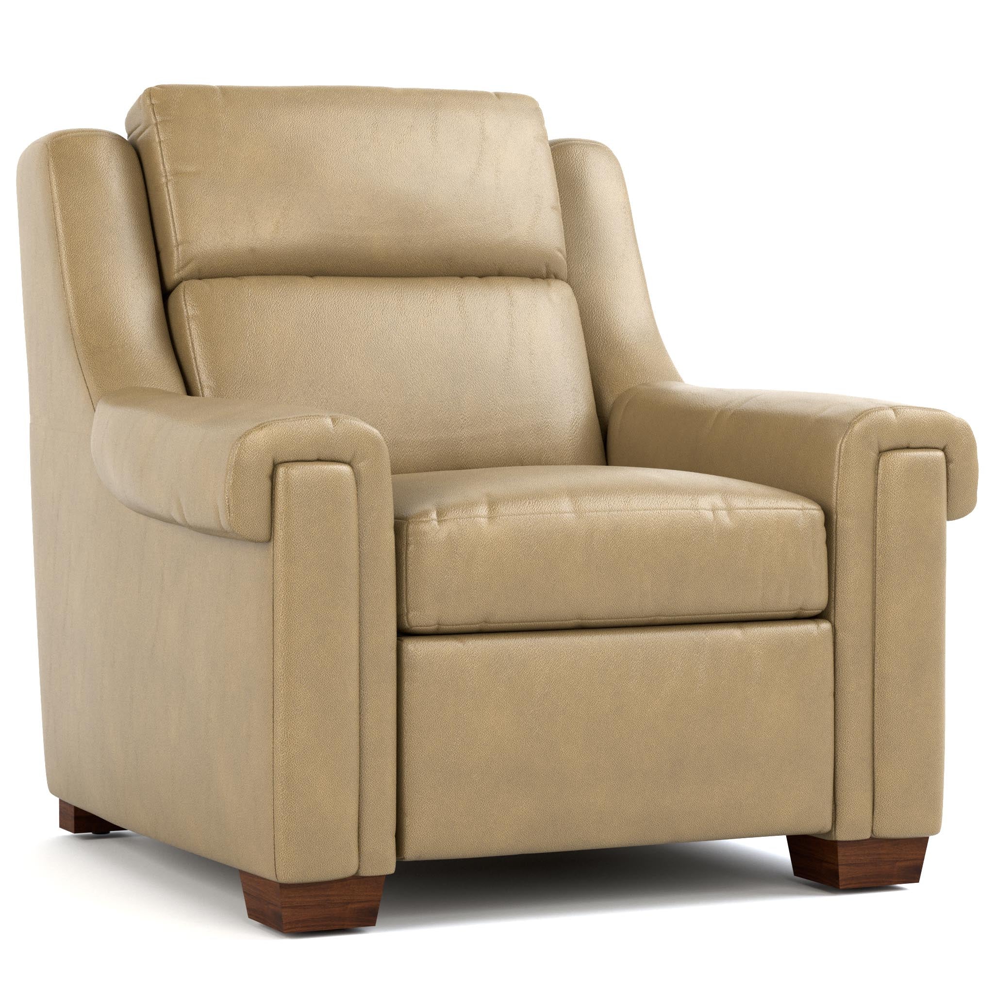 Chester Power Wall Recliner Chair - Electric Lift Reclining Sofa with Massage & Heat for Living Room, Home Theater, and Bedroom Comfort