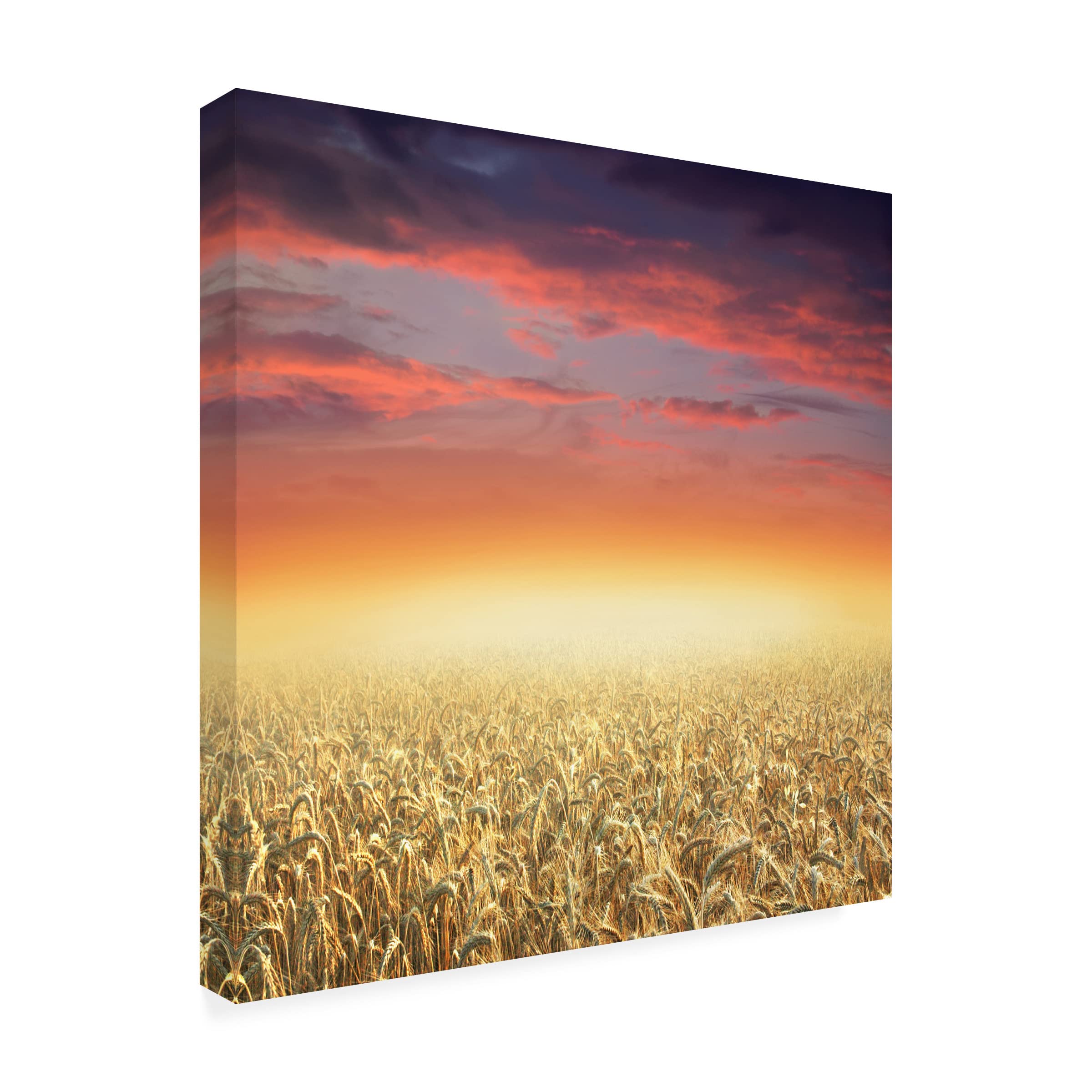 Ben Heine 'Glowing' Canvas Art Print - Modern Wall Decor for Living Room, Bedroom & Office - Trademark Fine Art Collection