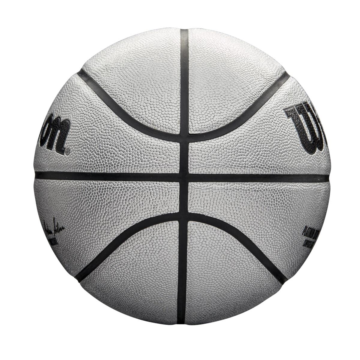 Wilson NBA Alliance Series Official Game Basketball - Size 7 & Mini Basketball for Indoor/Outdoor Play - Perfect for NBA Fans, Backyard Games & Basketball Training