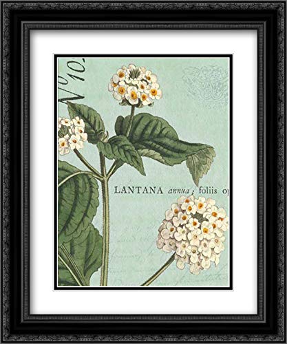 Wild Apple Portfolio 15x17 Inch Black Ornate Framed Double Matted Museum Quality Art Print - Botanique Bleu Floral Wall Decor for Living Room, Bedroom & Office