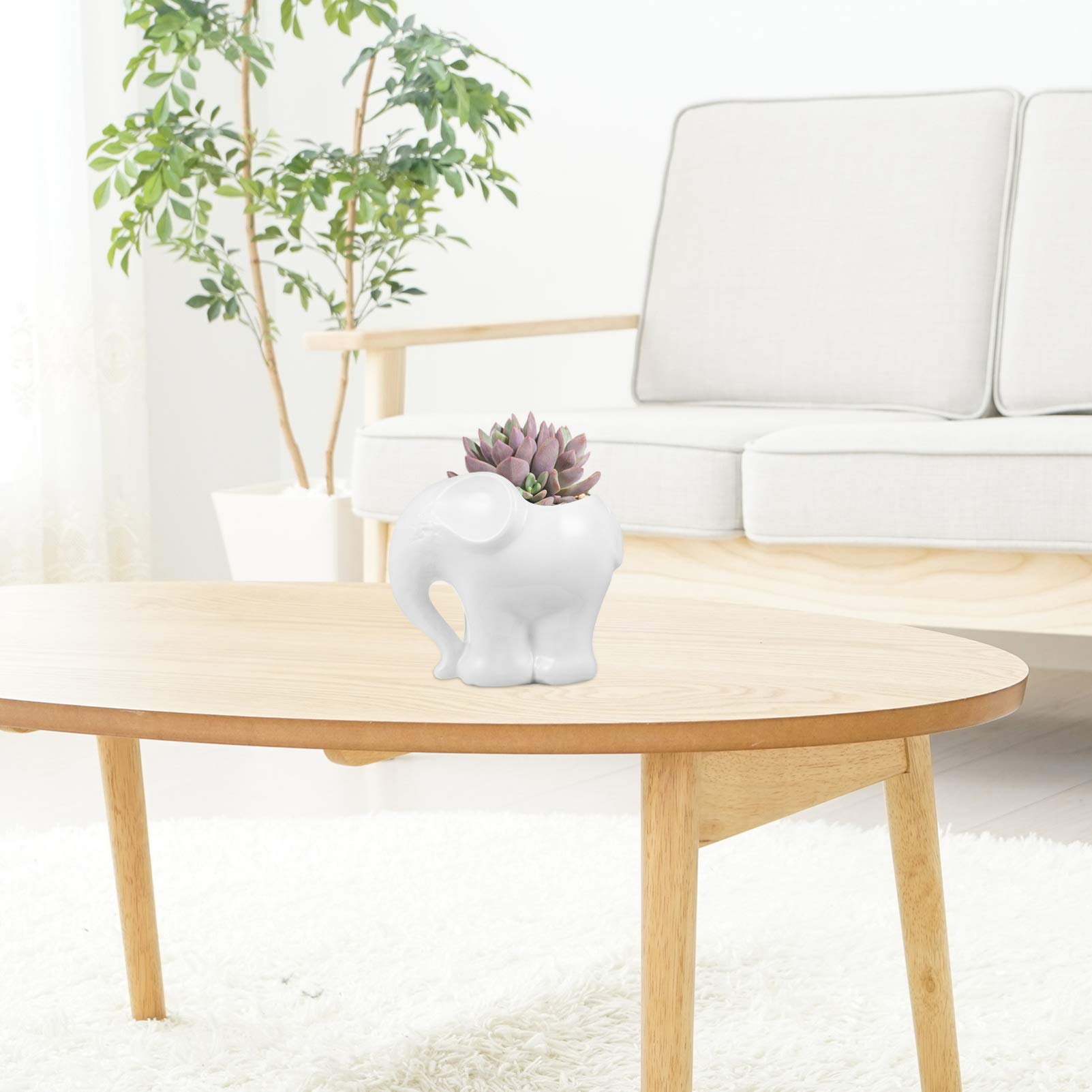 Elephant Ceramic Flower Pot - Cute Cartoon Planter for Succulents, Plants & Flowers | Perfect for Home Decor, Office Desk & Garden Planting