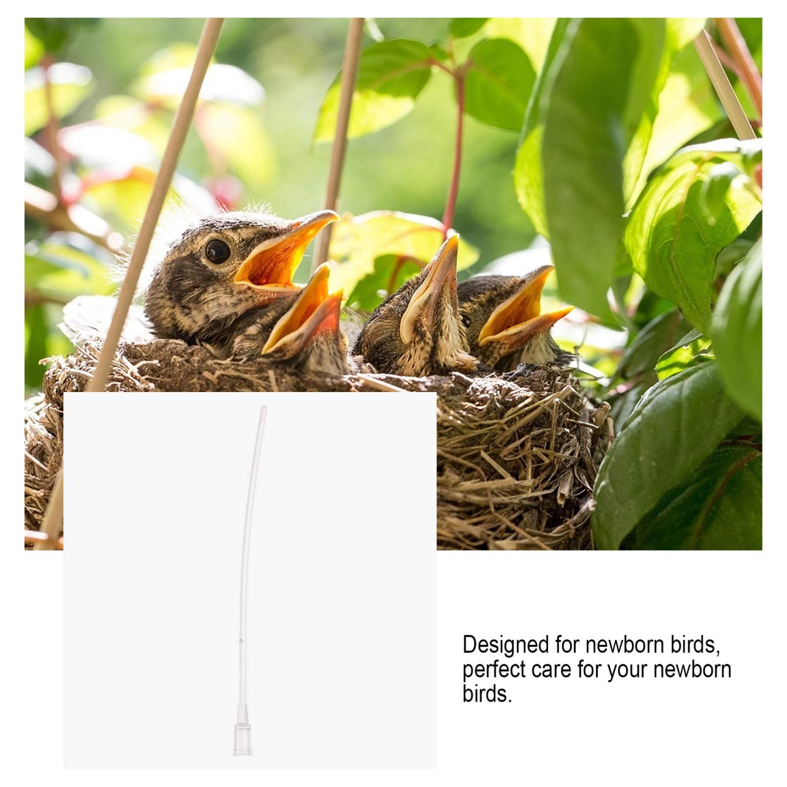 Balacoo 5-Pack Reusable Plastic Bird Milk Feeders for Parrots, Cockatiels & Budgies - Perfect for Hand-Feeding Baby Birds & Pet Bird Care