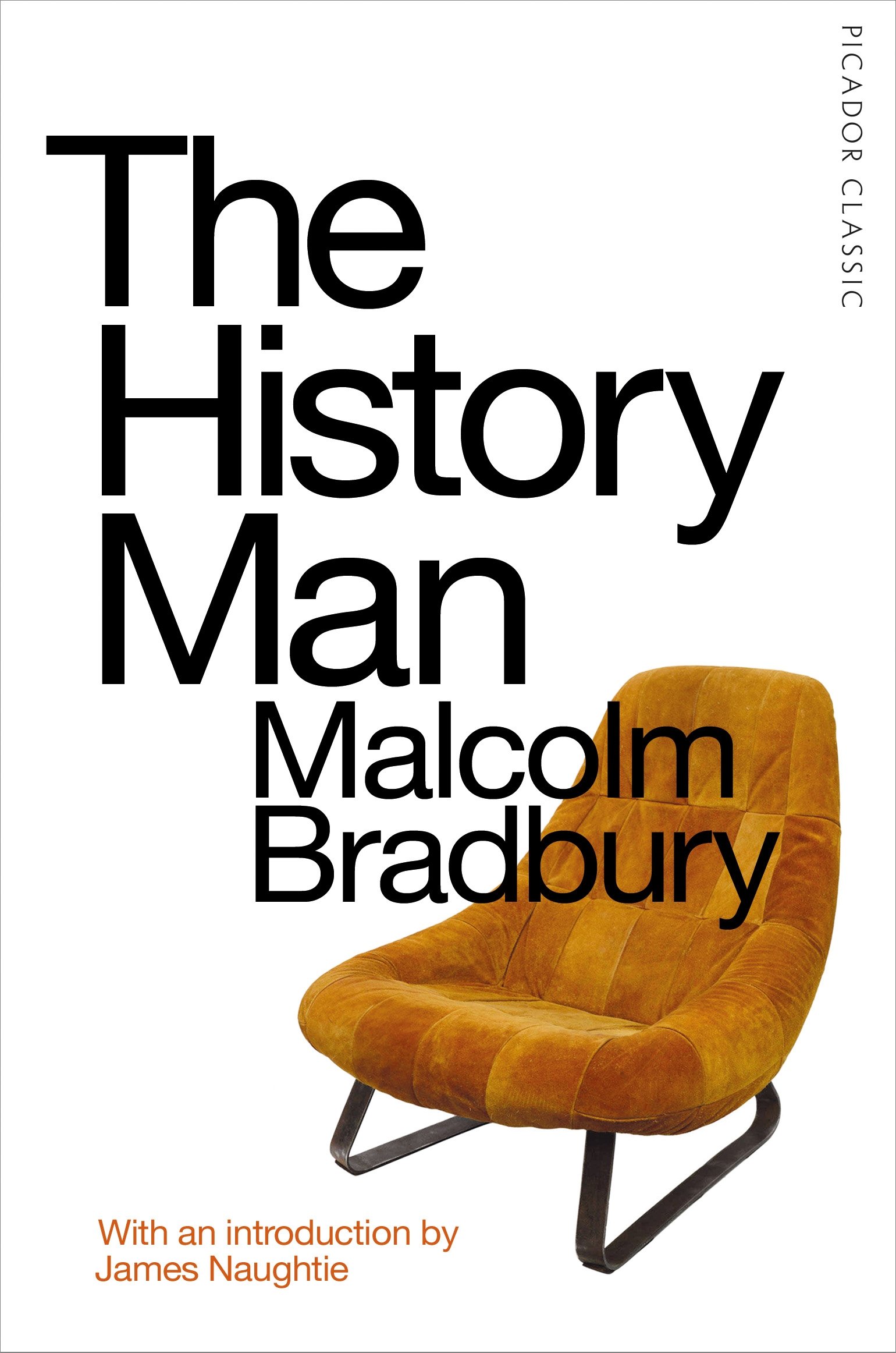 History Man (Picador Classic) - Vintage Literary Fiction Novel for Book Lovers & Collectors - Perfect for Reading, Gifts & Home Library Decor