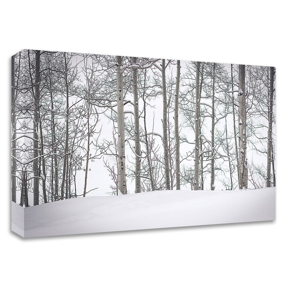 Behind Cloister Doors by Eunika Rogers - Premium Canvas Wall Art Print - Ready to Hang - Perfect for Living Room, Bedroom & Office Decor