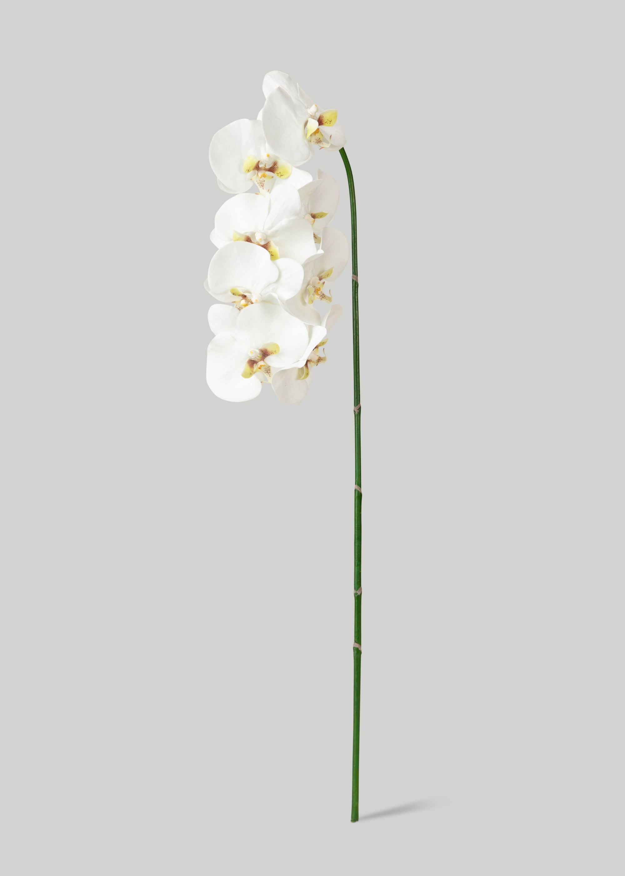Premium Faux White Phalaenopsis Orchid Flowers - 40 Stems Artificial Silk Orchids for Home Decor, Wedding Centerpieces & Office Arrangements