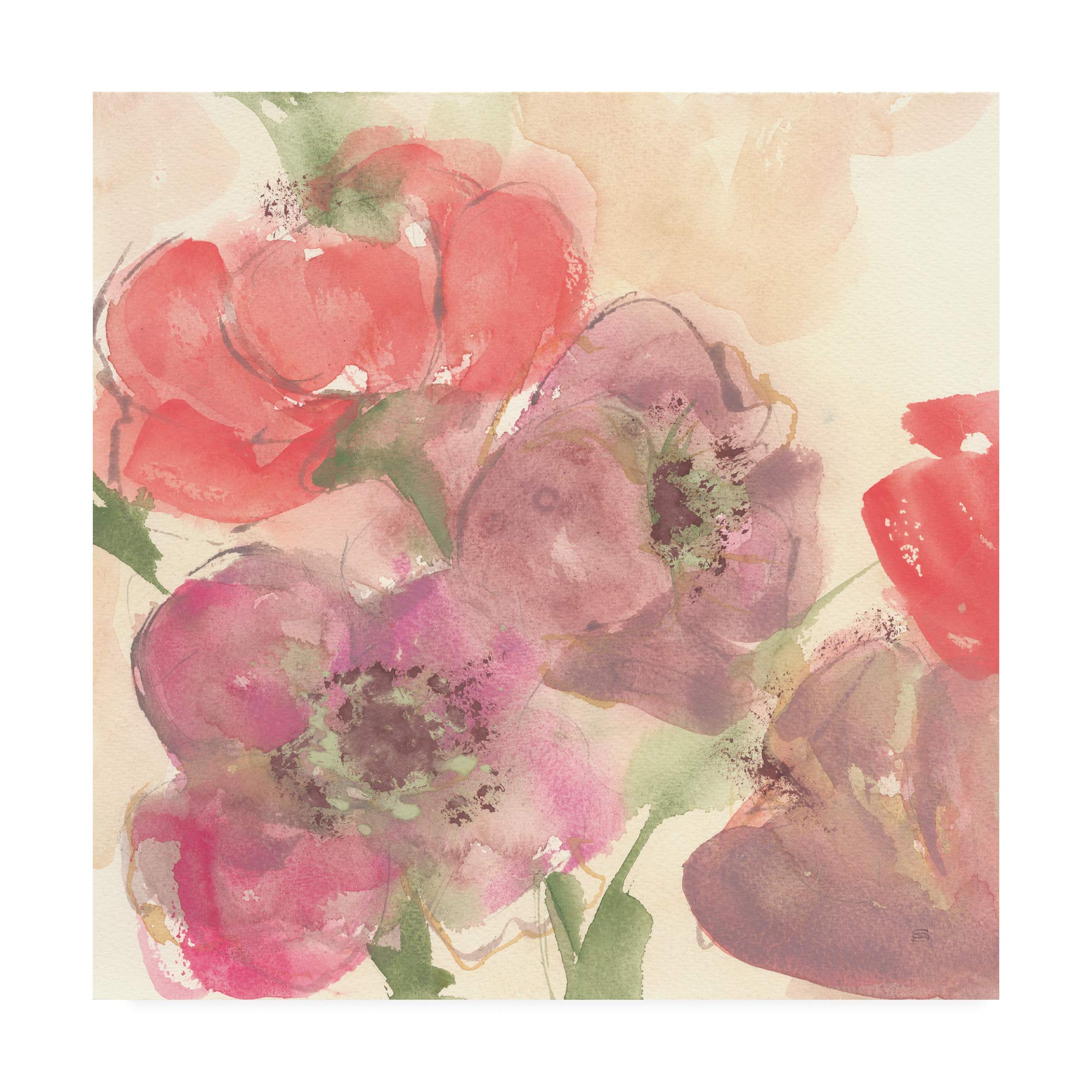 Chris Paschke Coral Blooms II Framed Wall Art Print - 18x18 Inches - Modern Home & Office Decor - Perfect for Living Room, Bedroom or Gift