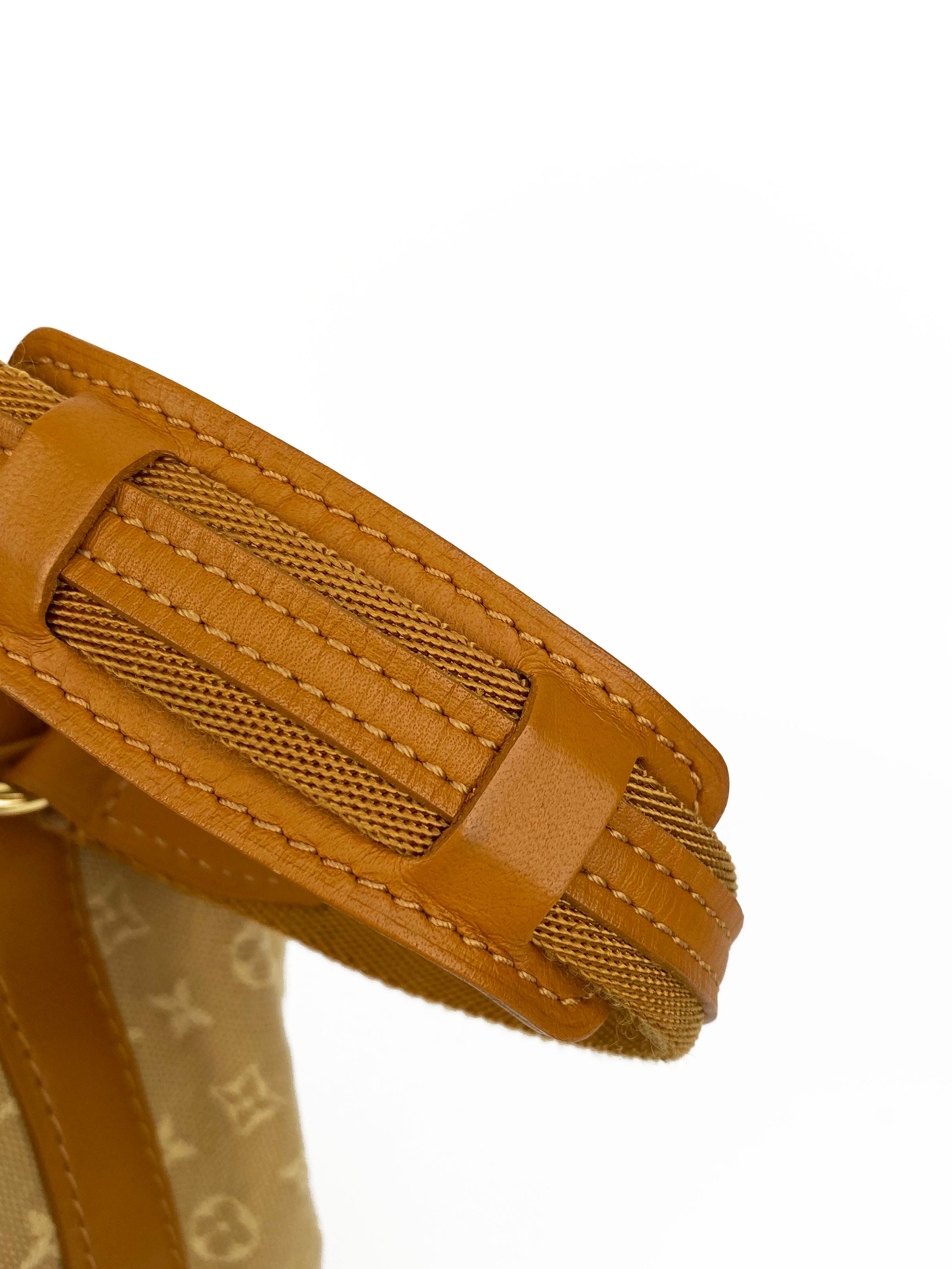 Authentic Louis Vuitton Mini Noelie Bucket Bag in Tan - Luxury Crossbody Handbag for Women, Perfect for Date Night & Travel Accessories
