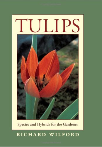 Tulips: Premium Species & Hybrid Bulbs for Garden Planting | Perfect for Spring Gardens, Landscaping & Floral Arrangements
