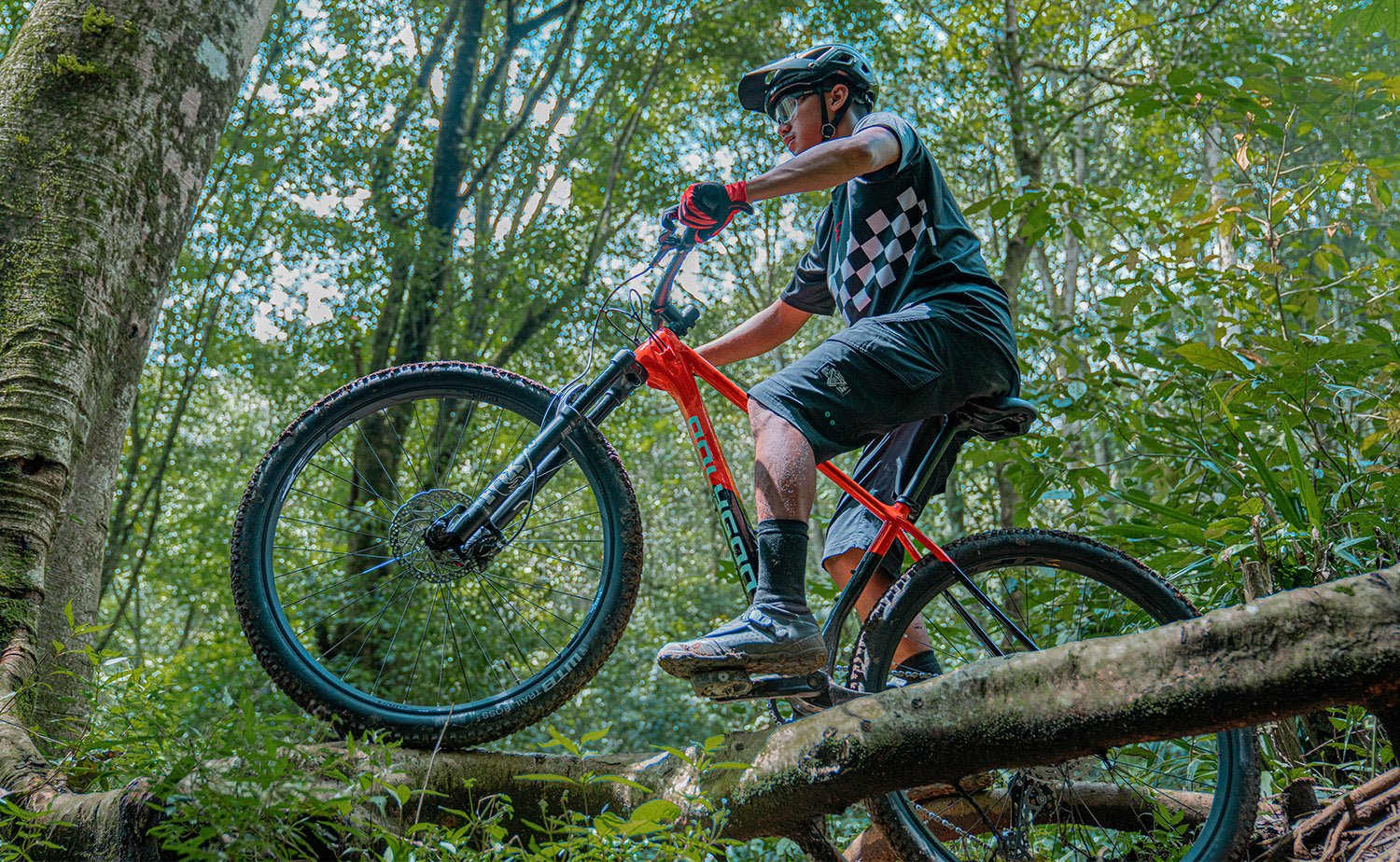 Polygon Syncline C5 Carbon Fiber Mountain Bike - Lightweight & Durable for Trail Riding & Off-Road Adventures