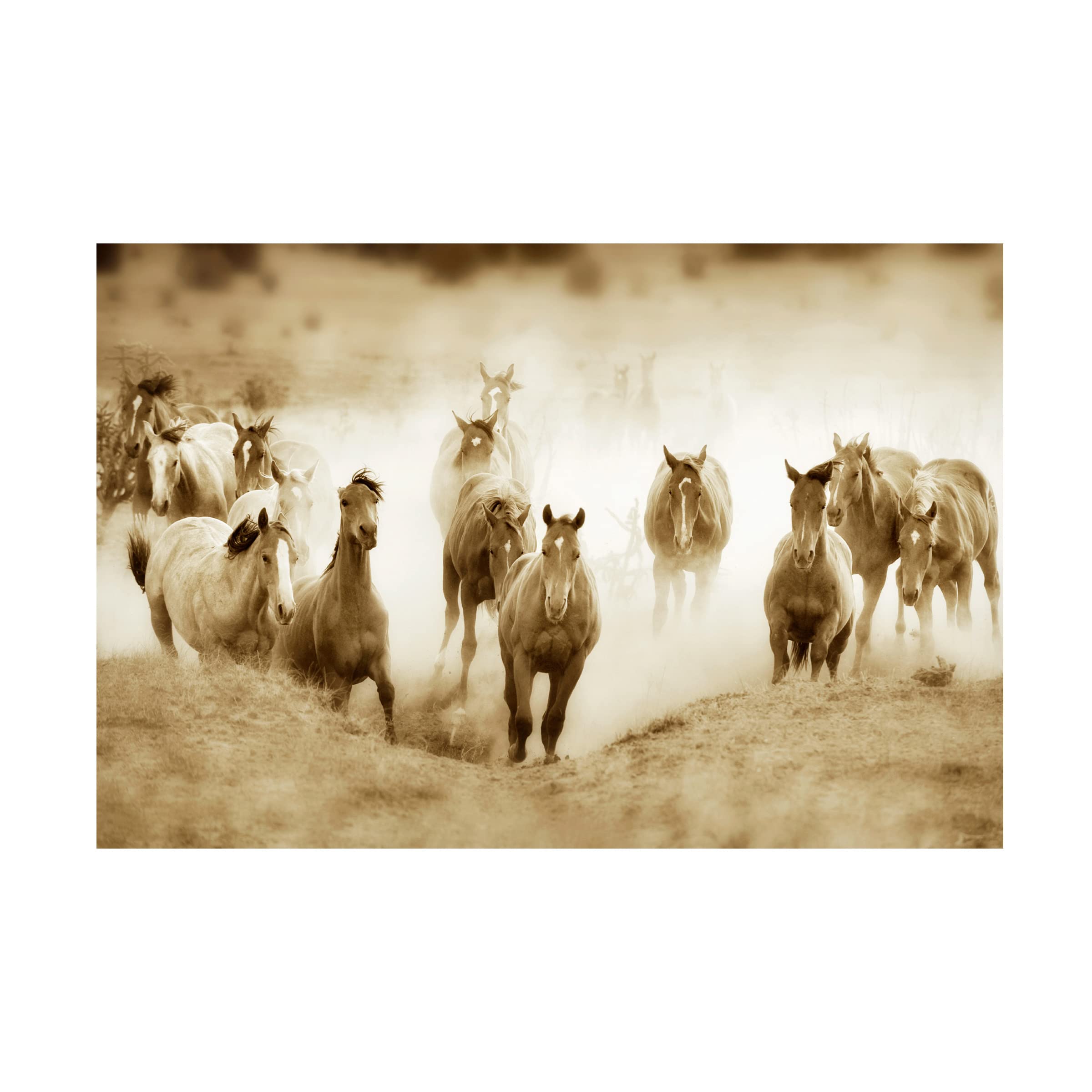Trademark Fine Art 'San Cristobol Horses' Canvas Wall Art by Lisa Dearing - Stunning Equestrian Painting for Living Room, Bedroom & Office Decor
