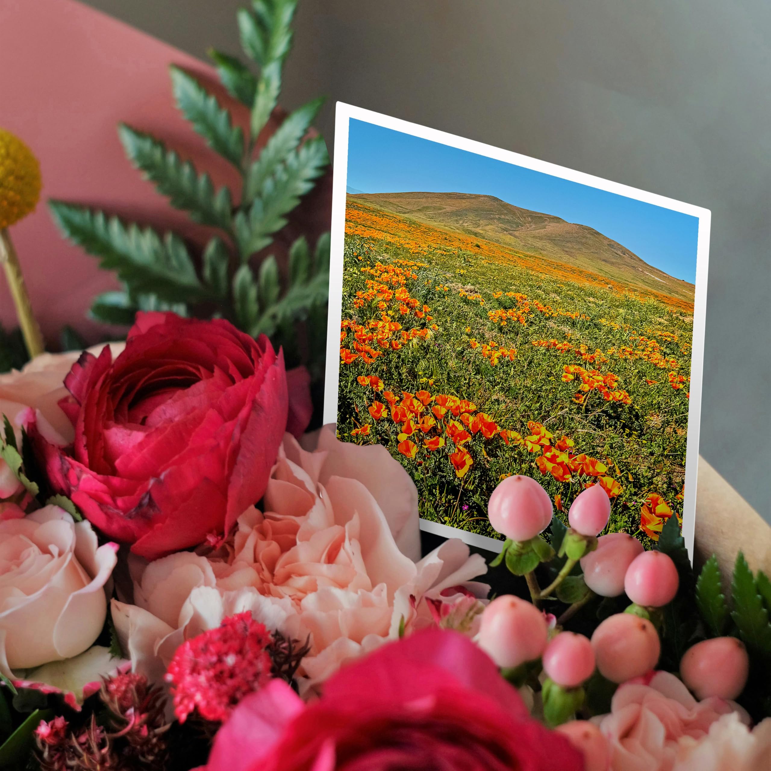 California Poppy Field Greeting Card - Stunning Landscape Photography - Perfect for Birthdays, Thank You Notes & Home Decor