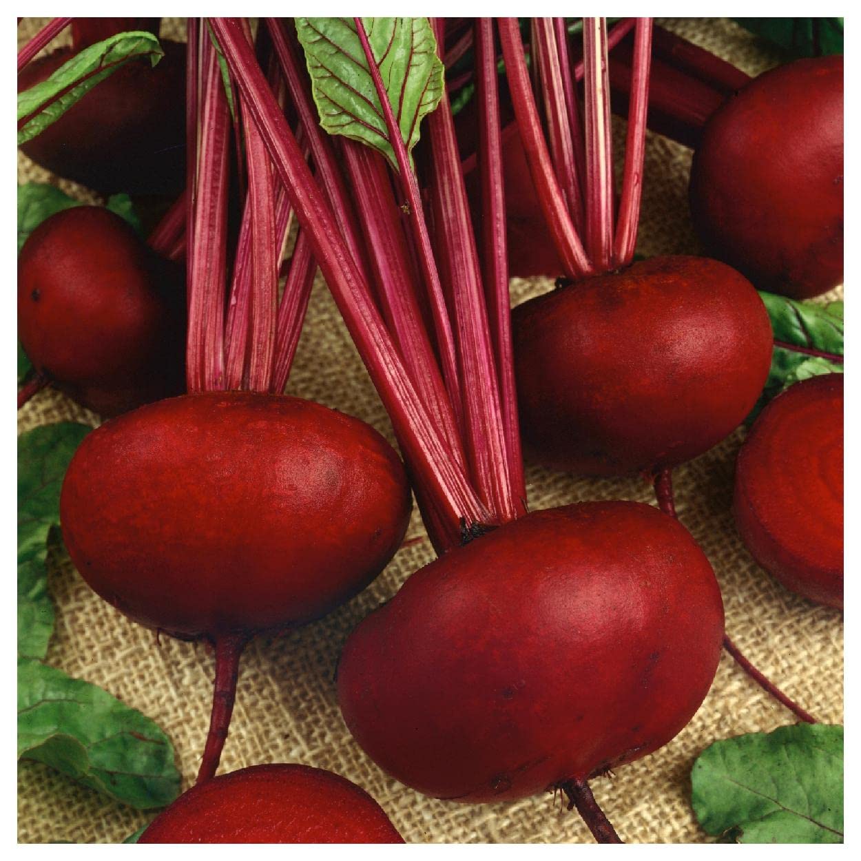 Organic Crosby's Egyptian Beet Seeds - 1 Oz Non-GMO Heirloom Seeds in Gold Vault Packet by Everwilde Farms - Perfect for Home Gardening, Canning & Healthy Snacks